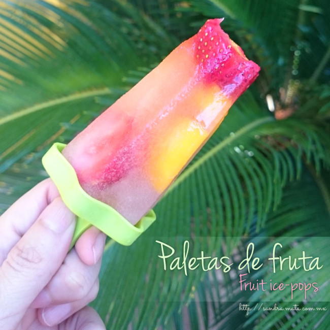 Paletas de fruta / Fruit ice pops